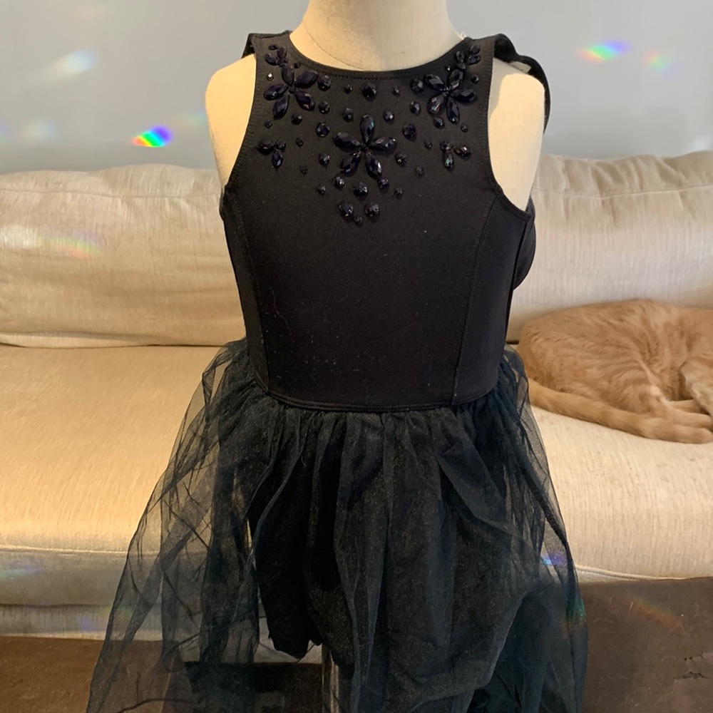 Abercrombie Jeweled and Tulle Dress